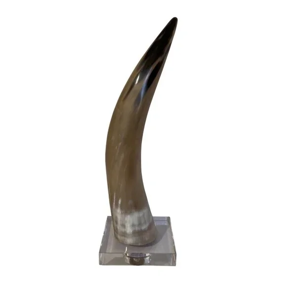 Natural Bull Cow Steer Horn Rustic Western Décor 16 Polished On Glass Base